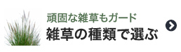 雑草の種類で防草シートを選ぶ