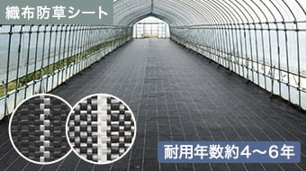 イノベックス ダイオグランドシート