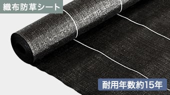 イノベックス プレミアム15