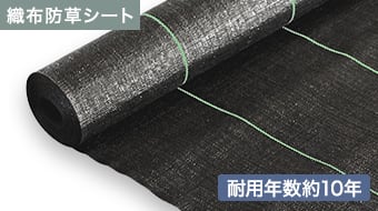 イノベックス スタンダード5