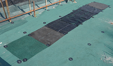 100均の防草シートの効果は？