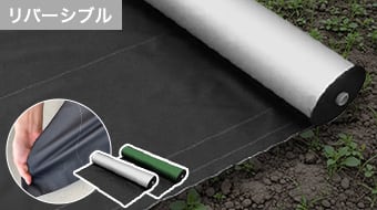 DAIKEN グラスバスター