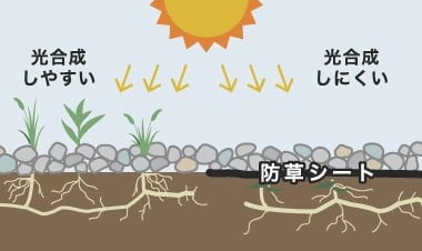 砂利のすき間からの太陽光を遮る