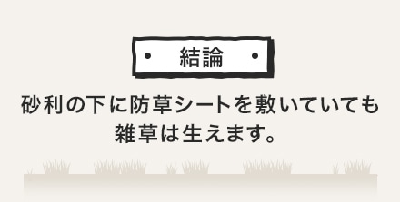 結論　砂利の上に防草シートを敷いていても、雑草は生えます。