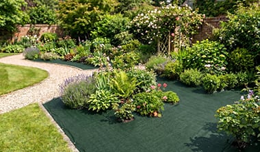 植栽まわり