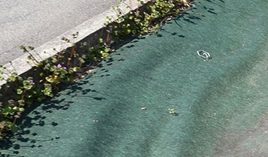 防草シートとブロックの境目から雑草が生えている様子