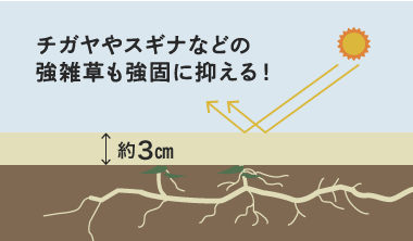 強雑草も強固に抑える