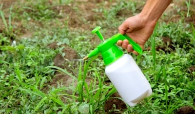 除草剤を散布する