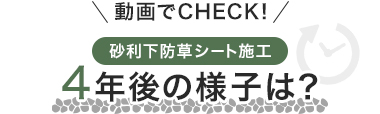 4年後の様子は？