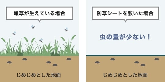 雑草が生えている場合と防草シートを敷いた場合