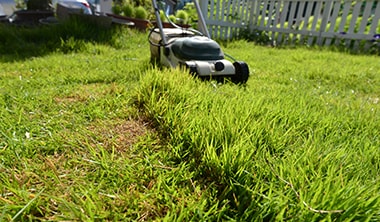 芝生の芝刈りをする