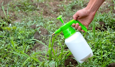 除草剤を散布する