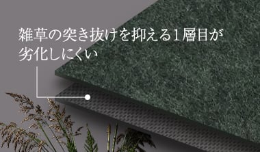二層式防草シートの断面図