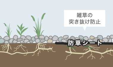 雑草の発生を防止