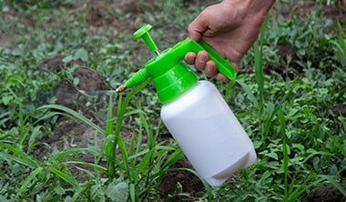 除草剤を使用する