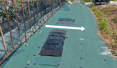 コケ発生の原因2
