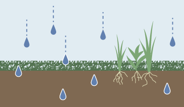 水・空気をよく通すが、雑草が突き抜けやすい