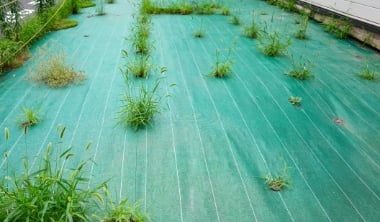 防草シートを雑草の種類に合わせて選ぶ