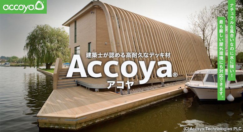 アコヤ(accoya)