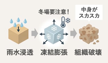雨水浸透 凍結膨張 組織破壊