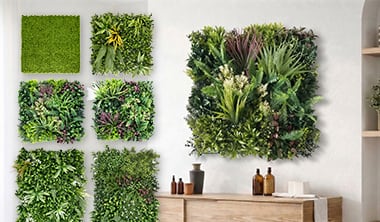 エバープランツの特徴1