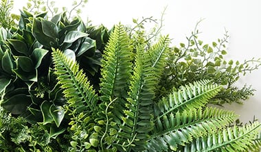 エバープランツの特徴2