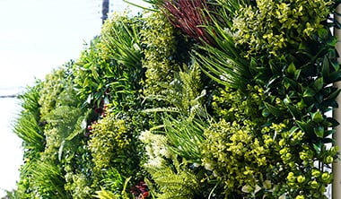 エバープランツの特徴3