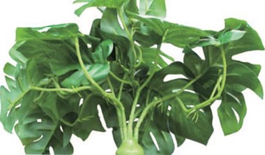 ぴたっとグリーンの特徴2