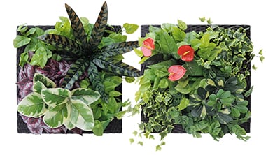 ぴたっとグリーンの特徴3