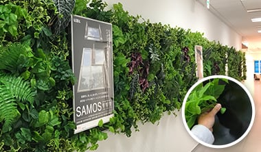 ぴたっとグリーン