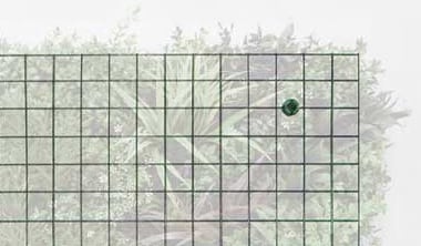 ビスタフォリアの特徴1