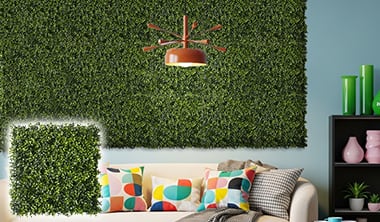 エバープランツ