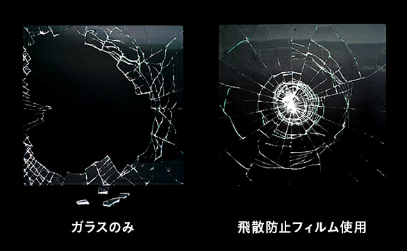 飛散防止フィルムなら台風に備えて対策できる