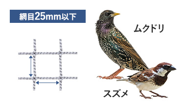 小さな鳥向けネット（網）