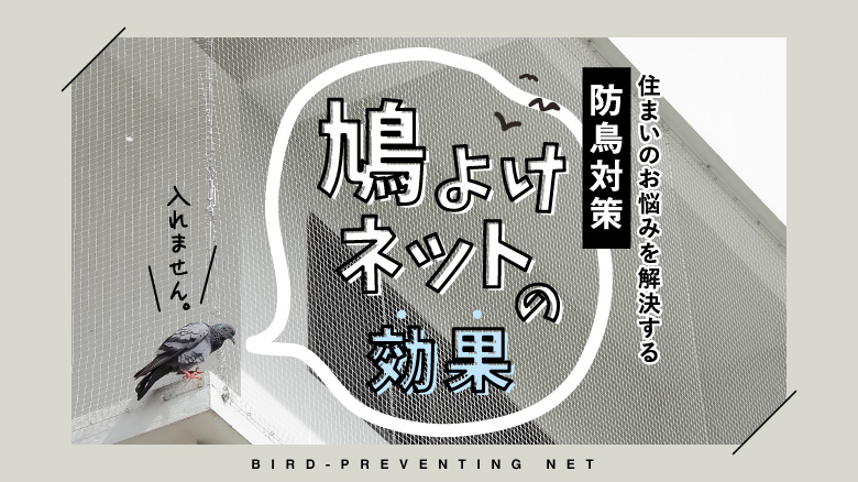 鳩よけネットの効果