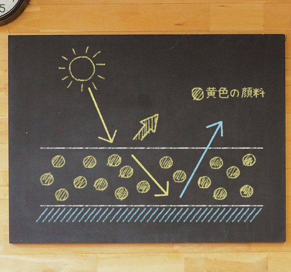 隠蔽力が最も弱いのは白？