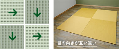 目の向きが互い違い