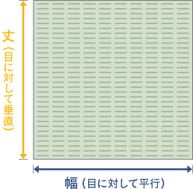 サイズ