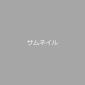 タチカワブラインド プリーツスクリーン フィーユ ペアタイプ 月桂(げっけい)