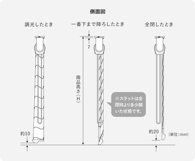 側面図