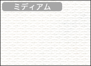 RS-1601 ホワイト