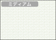 RS-1603 ミント