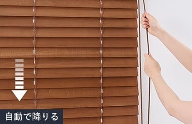 ループコードタイプ　自動降下