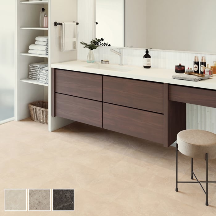 【こし】【超希少/近々値上げします】ゴアニアタイト化石　インテリア こし様専用】【超希少/近々値上げします】ゴアニアタイト化石 インテリア