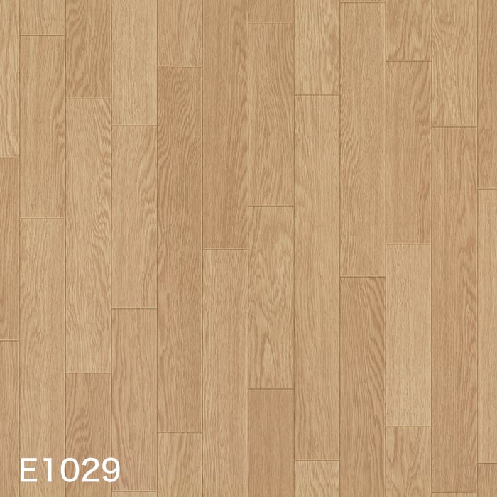 E1029