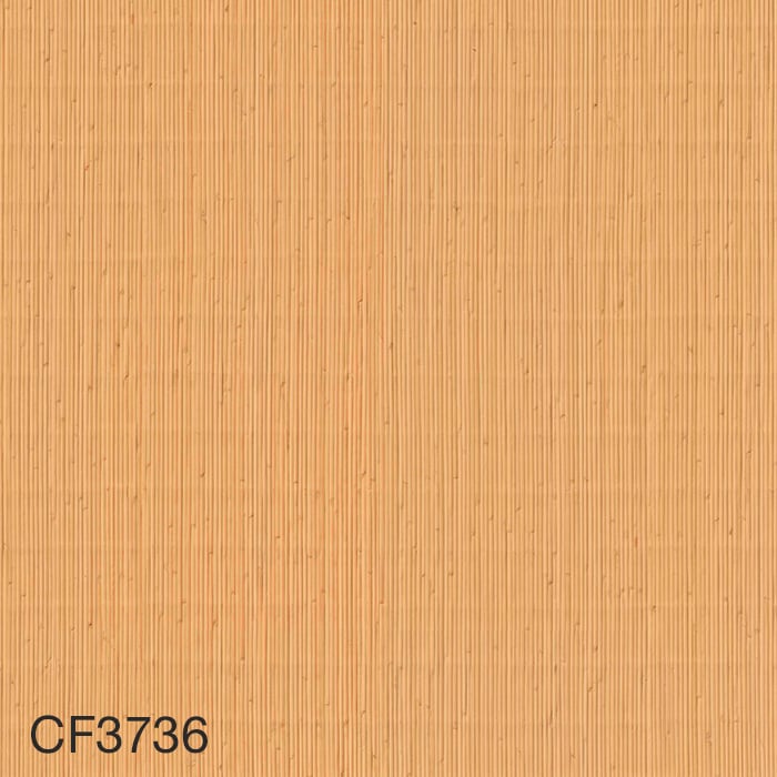 color chip
