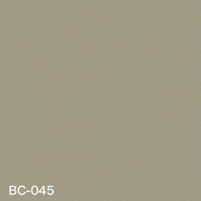 color chip
