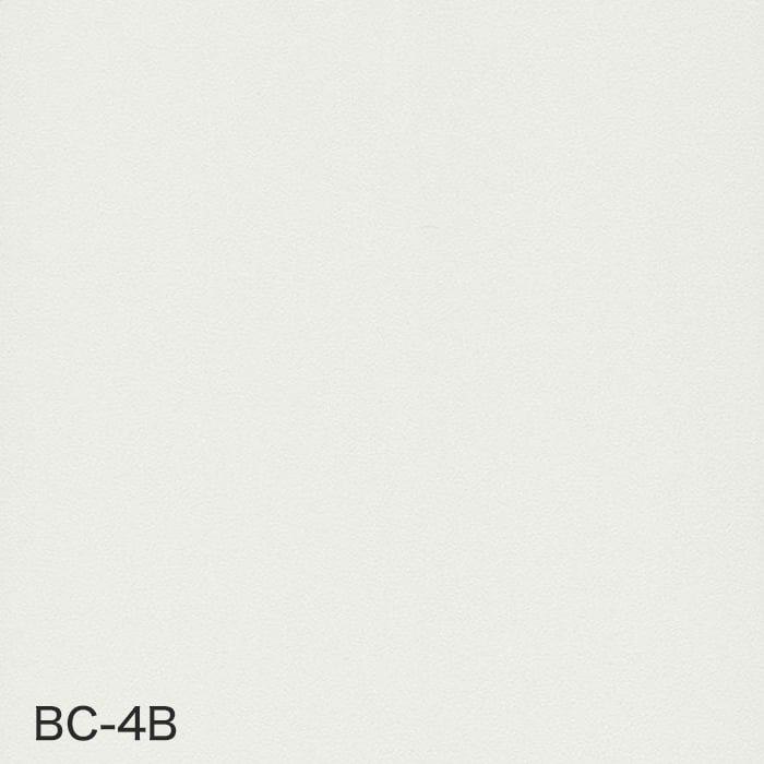 color chip