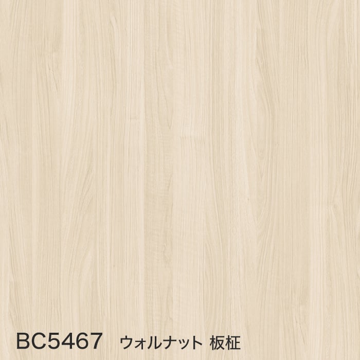 color chip
