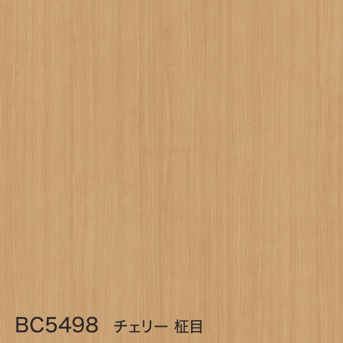 color chip